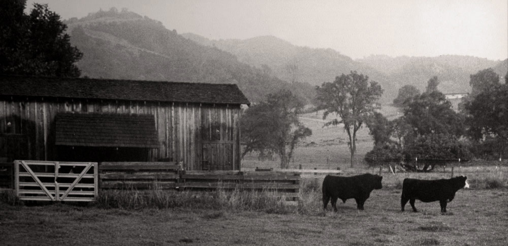 Vintage photo of the Ranch